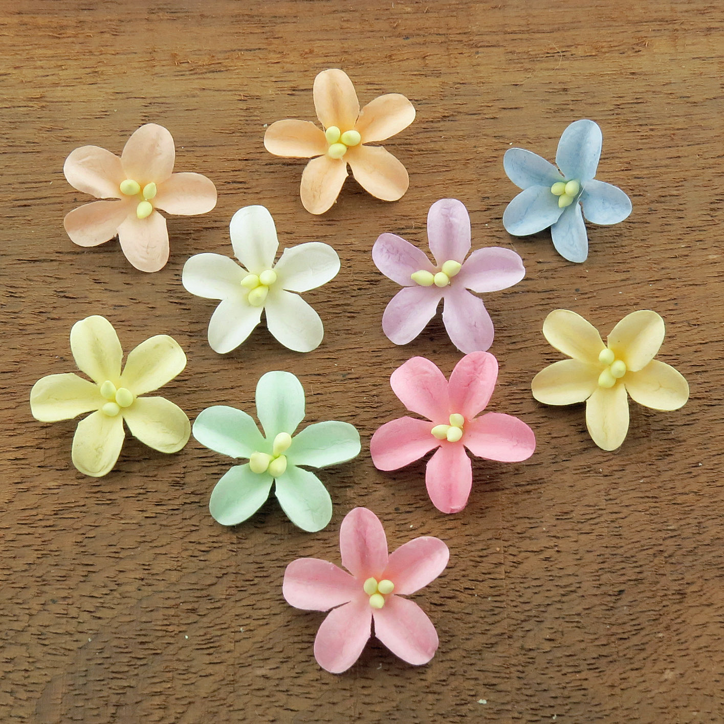 MIXED PASTEL COTTON STEM MULBERRY PAPER FLOWERS - SET D - Click Image to Close